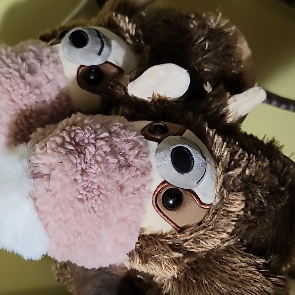 American eagle sloth slippers M/L
